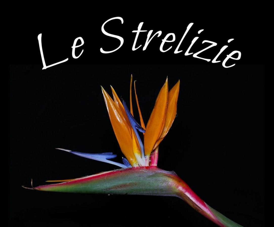 Le Strelizie Apartamento Arnesano Exterior foto